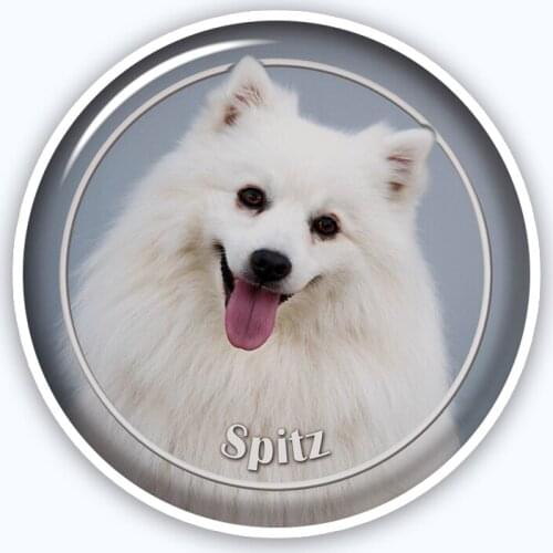 A0684# Various Sizes Removable Decal Spitz-1 88 Sticker Waterproof Accessories on Bumper Rear Window Laptop