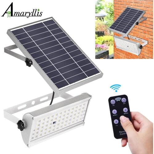 AMARYLLIS Motion Sensors