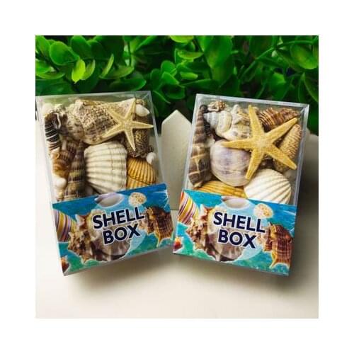 One box 50g Natural conch shell starfish marine biology science micro landscape fish tank decoration small shell gift