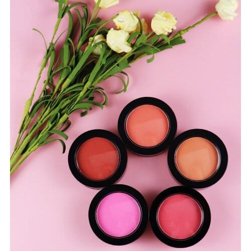 10 Piece Gloss Blush Facial Contour Long-lasting Makeup Powder Face Blusher Cosmetics Private Label