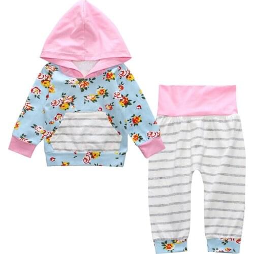 Baby clothing set Baby Girls clothes Hooded Tops+Pants Baby Girls 2Pcs Set Floral Clothes Winter Long Sleeve Outfits