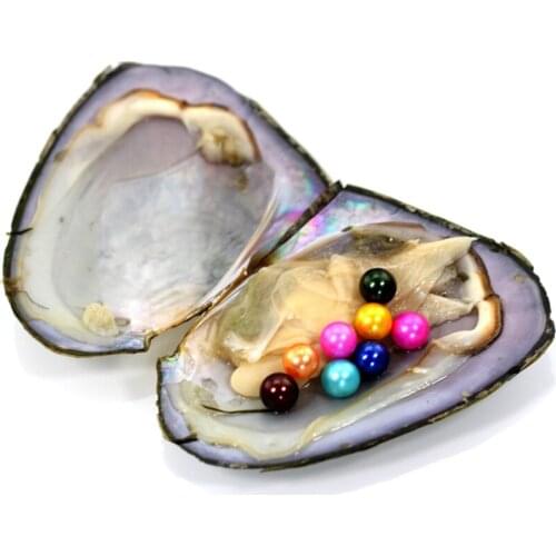 Trendy Natural Freshwater Pearls AAA Multiple Rice Pearls in Mussel Shell,7-8MM Mixed Colors, Christmas Gifts 1pcs/lot FO038
