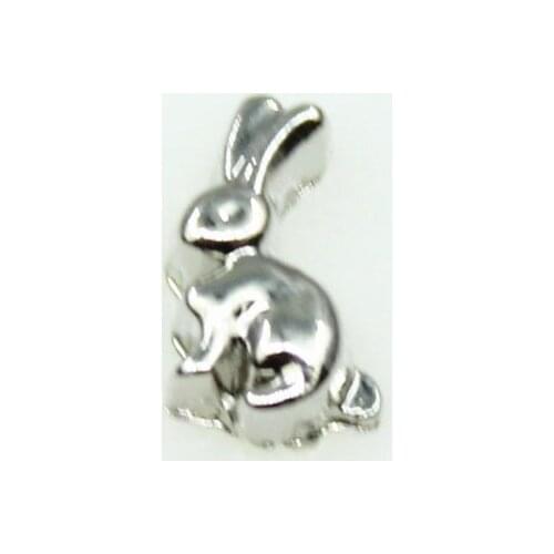 Small Wholesale 20pcs/lot Rabbit Hare Floating Charms Living Glass Memory Lockets Floating Charms DIY Jewelry Accessory