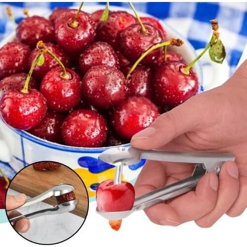 Cherry Fruit Kitchen Pitter Remover Olive Core Corer Remove Pit Seed Gadget Stoner Stainless Steel Jujube Hawthorn Fruit #P2