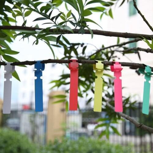 Бирки для растений Hoopet China At AliExpress