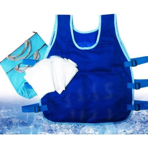 Summer Cooling Vest With 24PCS Ice Packs And 2 Insulated Bag Summer ICY Cooling