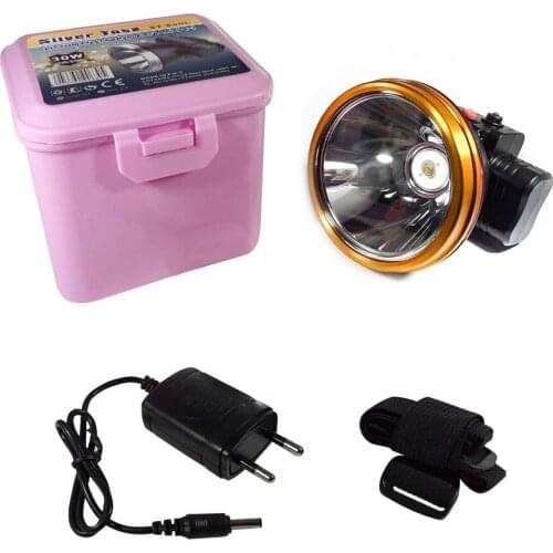 Silver Toss St-630l 10 Watt Single Leds rechargeable Head Lamp