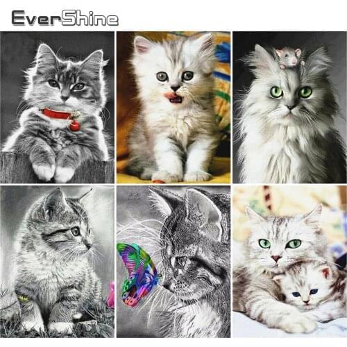 EverShine DIY Diamond Embroidery Cat Diamond Painting Cross Stitch Animal Mosaic Art Picture Rhinestones Childrens Room Decor
