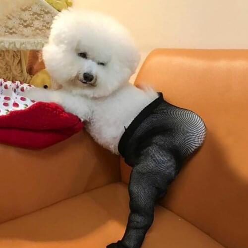 Sexy Dog Stockings Funny Pet Fishnet Sock Goes Out Of The Street Net Red Funny Photo Net Socks Cute Cosplay Funny Decoration