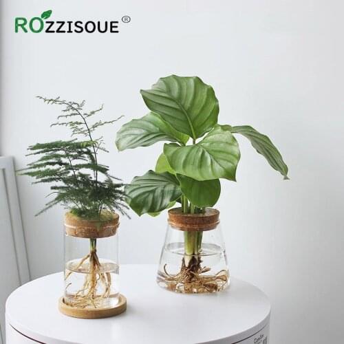 Hot Sale Hydroponic Plants Bottle Glass Ecological Bottle Gardening Flower Pot Office Glass Vase Plant Pots Macetas Para Plantas