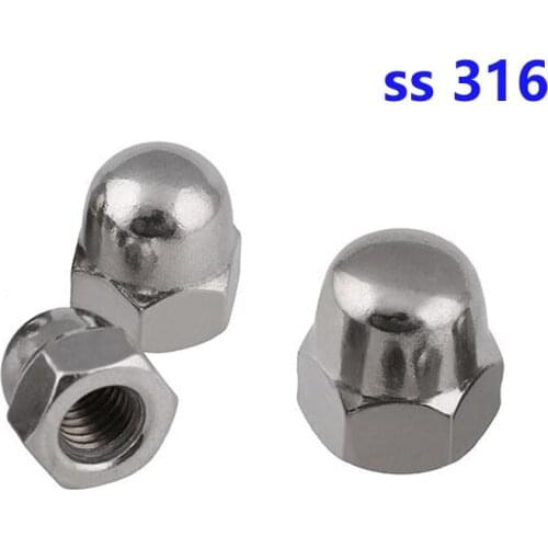 Wkooa Stainless Steel 316 Acorn Nuts Hex Domed Cap Decorative Nuts M3 M4 M5 M6 M8 M10 M12 M14 M16 M18 M20