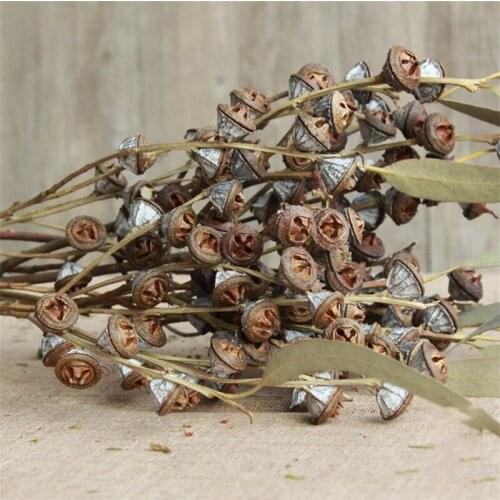 Big Bunch Artificial Eucalyptus Fruit Dried Plant Interior Accessories Room Decoration Photography Prop Cushions Home Decor