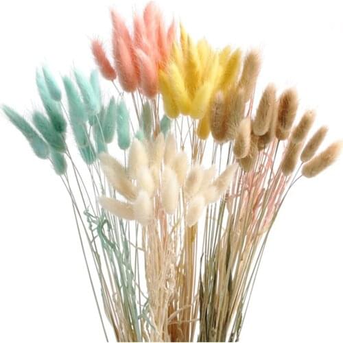 50Stems Rabbit Bunny Tail Grass White Pink Color Natural Dried Flowers Bouquet Pampas Grass Christmas Wedding Flowers Decor