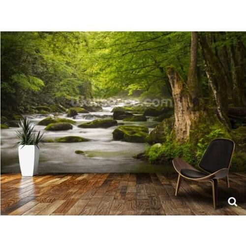 Custom natural landscape wallpaper,Great Smoky Mountains Tremont River,3D photo mural for living room restaurant wall wallpaper
