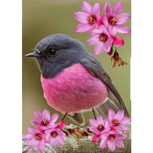 5D Diamond Painting Bird Cross Stitch Diamond Enbroidery Flower Full Round Drill Display Diamond Mosaic Home Decoration Art