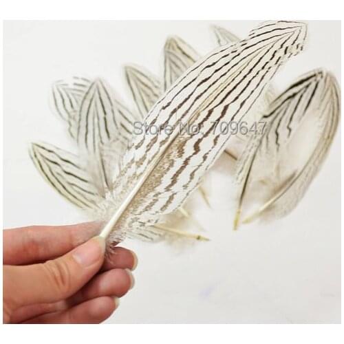 100pcs/lot!8-10"20-25cm Silver Pheasant Tail Feathers,silver pheasant, Craft Millinery Fly Fishing.top with feathers