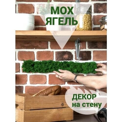 Товары для праздника Bloom Showroom China At AliExpress