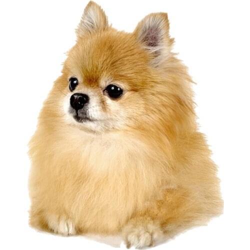 Three Ratels QC109-2 Animal wall stickers cute puppies Poster Self Adhesive Removable wall stickers for bathroom kitchen