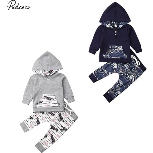 2019 Brand 0-4Y Dinasour 2PCS Toddler Kids Baby Boy Thick Warm Clothes Dinosaur Hooded Tops Pants Outfits Tracksuit Children Set
