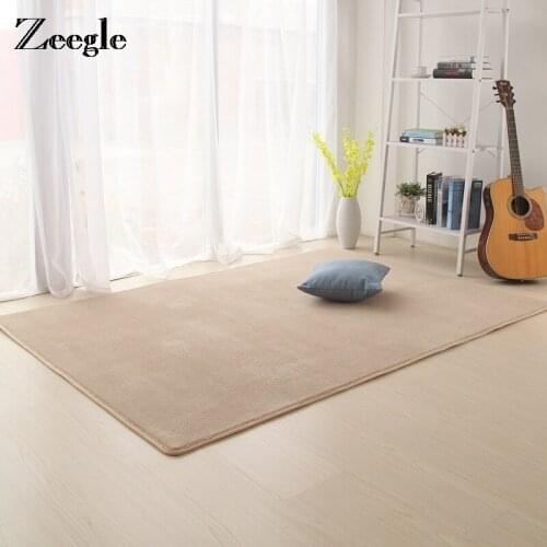 Zeegle Rug for Living Room Large Size Carpet Modern Floor Mats Anti-slip Bedroom Beside Mats Kitchen Rugs Bathroom Mat