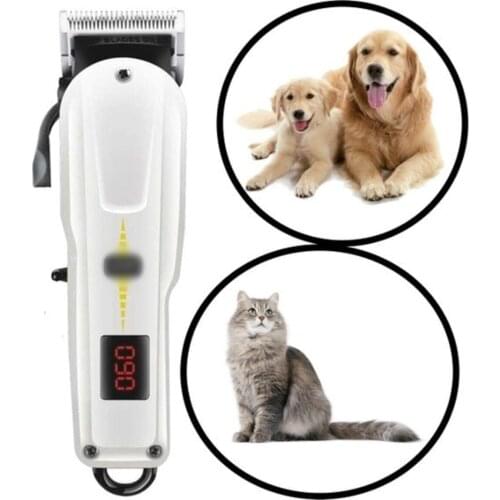 Bbb Showroom Pet Supplies