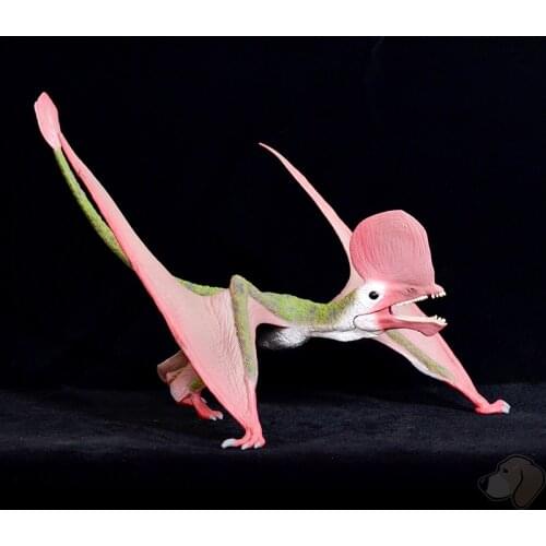 CollectA Caviramus 88886