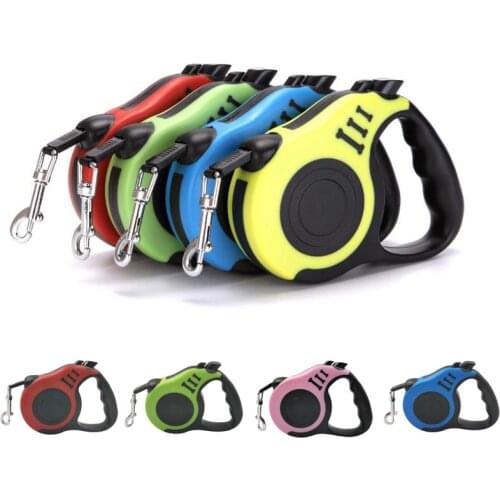 Small Dog Leash 3M/5M Automatic Retractable Cat Walking Rope Nylon Lead Bone Pattern Puppy Teddy Outdoor Products For Dogs Chiot