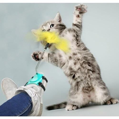 Explosive Fashion Hot Sale New Product Pet Cat Toy Spring Cats Cat Stick Creative Funny Portable Feather Cat Stick Free Hands