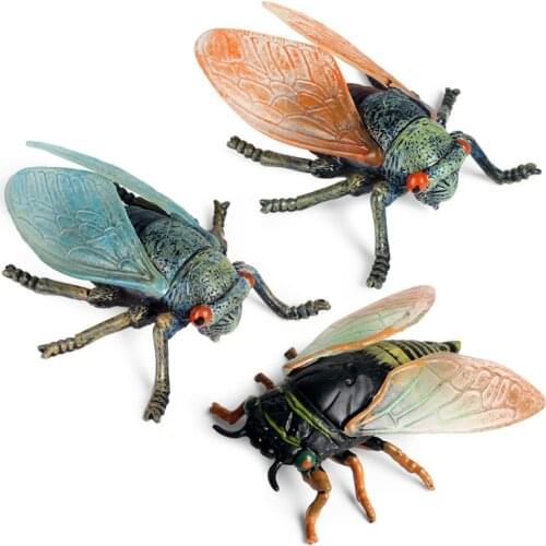 Cicada Solid Animal Model Action Figure Insect Animal Action Figures Collection PVC Children Cognitive Toy