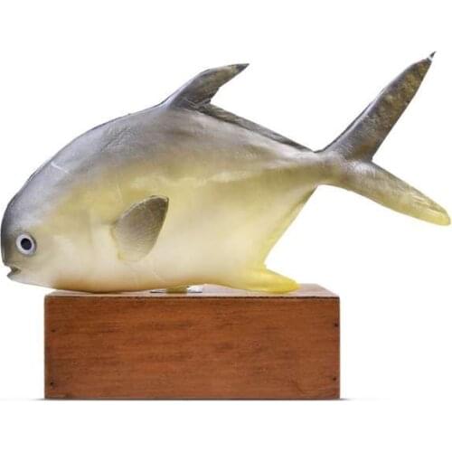 Simulation Pomfret False Fish Model Seafood Cabinets Display Layout Early Childhood Props Restaurant Decoration Unisex Finished