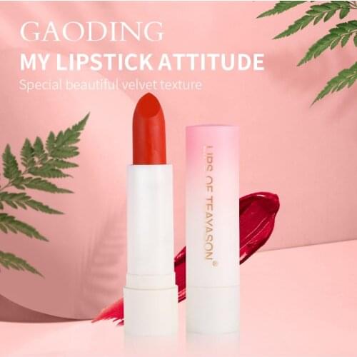 1pc Easy To Color Matte Retro Red Peach Lipstick Matte Velvet Lipstick Mini Waterproof Long Lasting Lip Gloss Gift No Fading