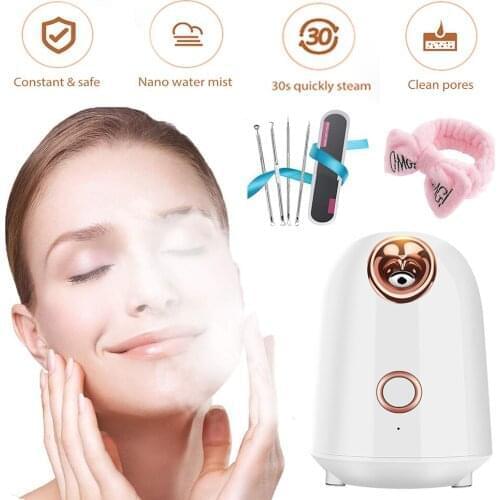 Facial Steamer Hot Nano Mist Sprayer Deep Pore Cleanser Face Steaming Sauna Spa Humidifier 4 PCS Acne Blackhead Removal Needles