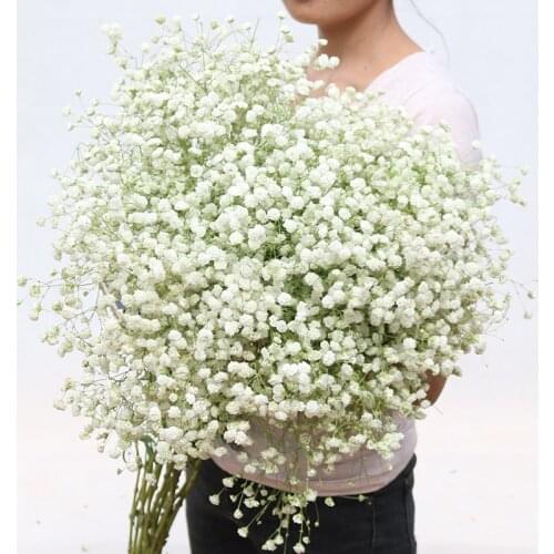 100g Big Bunch Baby Breath Natural Dried Preserved Gypsophila Flower For Wedding Home Decor Valentines Day Gift Craft