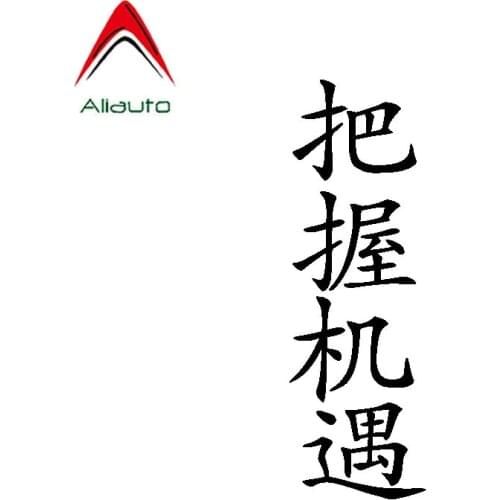 Aliauto Beautiful Letters Car Sticker Seize The Day Chinese Characters Personality Reflective Vinyl Decal Black Silver,15cm*5cm