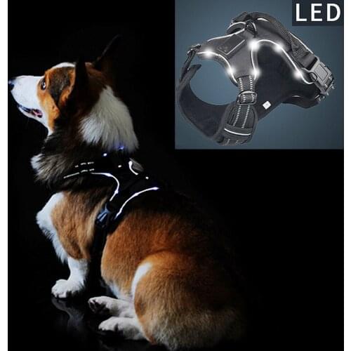 Pet Product LED Harness Tailup Nylon Flashing Light Safety Dog Harness Leash Rope Belt LED Dog Collar Vest Pet Supplies