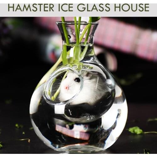 Hamster Ice Glass House, Pet Lower Temperature Cooling Bottle Pot, Transparent Nest Bed for Chinchilla Squirrel Guinea Pig Rat