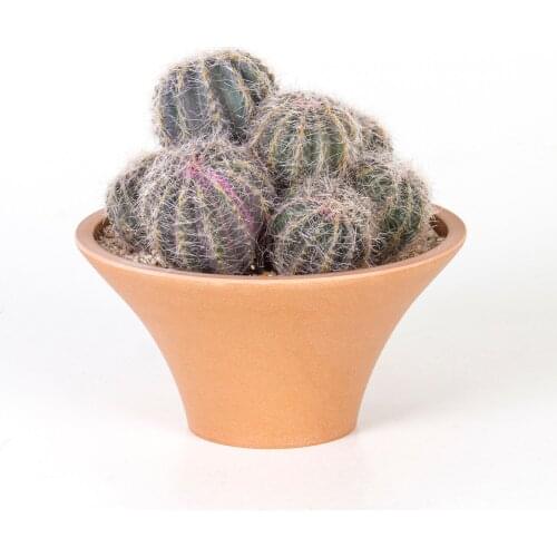 Искусственные растения Euro Flora China At AliExpress