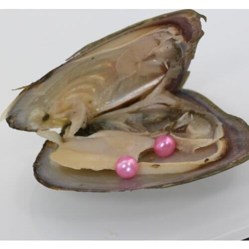 Lovely Pink Akoya Round Twin Pearls in Oysters 20pcs/lot Freshwater Vacuum Mussel with 7-8MM Double Pearls Wish Pearls FP368