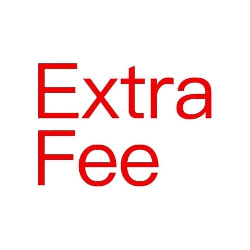 Extra shipping fee or additional cost