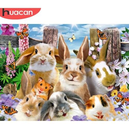 HUACAN 5D DIY Diamond Painting 5D Rabbit Full Square Round Embroidery Animal Mosaic Needlework Decor Diamond Art