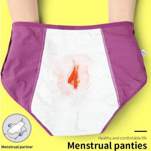 3PCS Menstrual panties bragas sexy Underwear female panties for women tanga cotton briefs bragas plus size lingerie calcinha