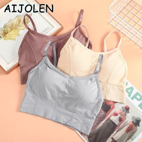 High Quality Plus Seamless Tube Top Ladies Bra With Chest Pad Vest Wrapped Chest Seamless Underwear Beauty Back Strap Bra