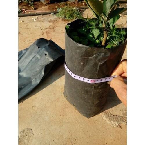 20X40CM diameter 12cm high 35cm Black thickening Nursery bag lemon Fruit seeds citrus