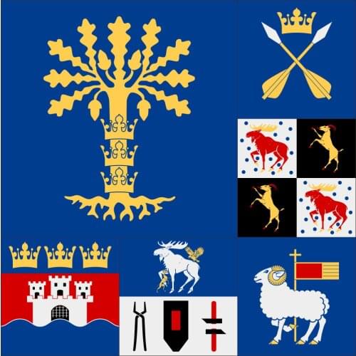 Sweden Regional Blekinge Flag 4x4FT 120x120cm PolyestNorrbotten County Banner