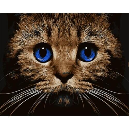 DRAWJOY Framed Animal Cat Painting & Calligraphy DIY Painting By Numbers Coloring By Numbers On Canvas For Home Decor