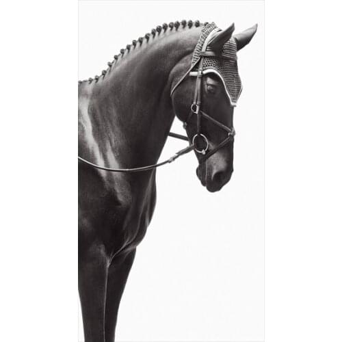 76x140cm Brown Horse Wild Animals Oil Painting on Canvas Scandinavian Posters and Prints Wall Art Pictures For Living Room