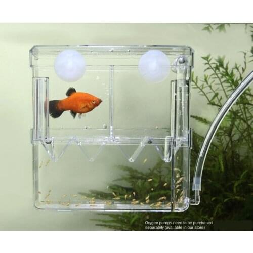 Fish tank Breeding box isolation box segregator type ornamental shrimp non-acrylic small isolation box aquarium Accessories