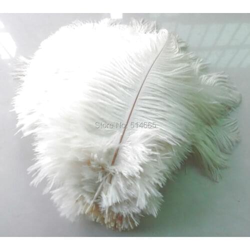 Wholesale Cheap ostrich feather 100pcs 8-10 inches 20-25cm Ostrich plumage ostrich plume Beig Cream Color