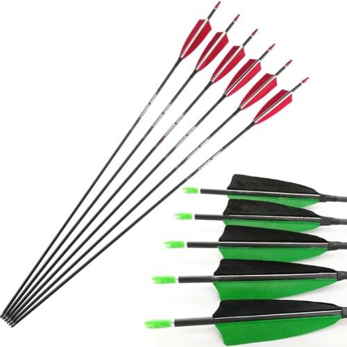 400 500 600 700 800 900 1000 1100 Spine Archery Carbon Arrows Shaft Feather Vanes for Compound Recurve Bow Hunting 12pcs