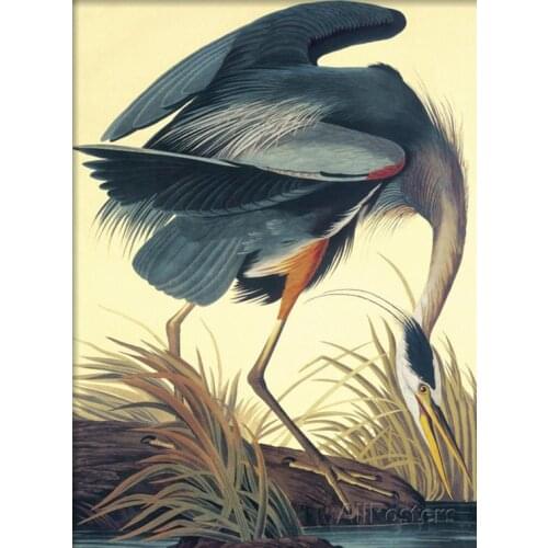 Wall art canvas painting Great Blue Heron John James Audubon Birds of America artwork for bathroom Kitchen Handmade personalized